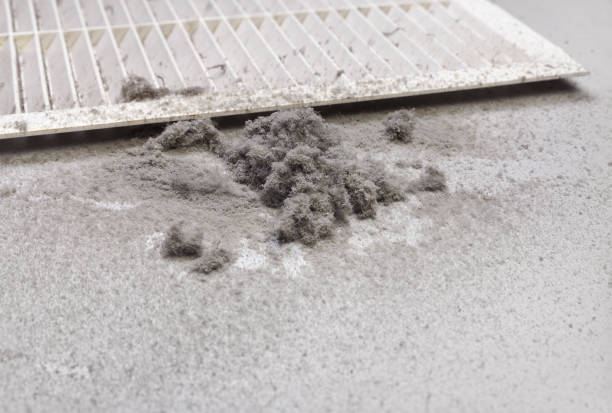 Best Professional Duct Cleaning Services  in Washington, NC